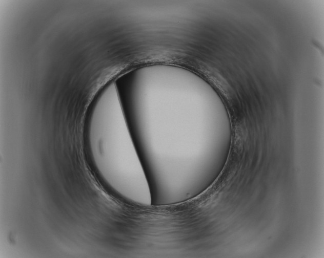 X0000097860578200803140858