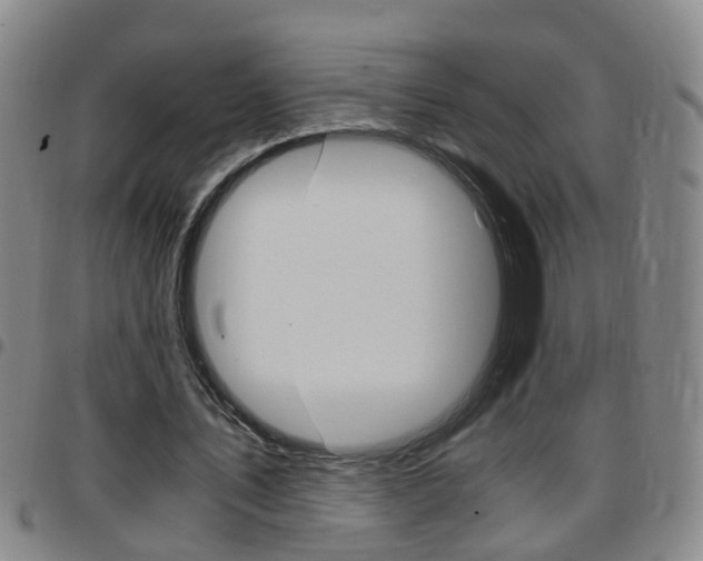 X0000097860579200803140858