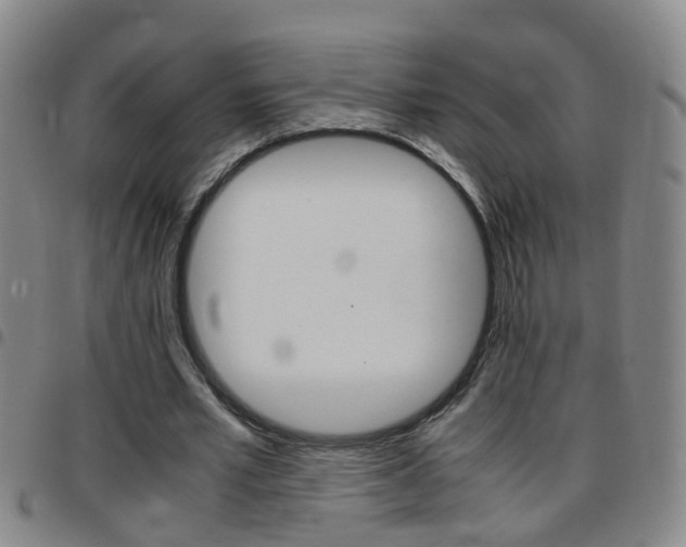 X0000097860581200803140858