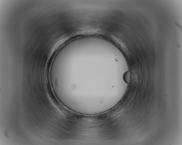 X0000097860582200803140858