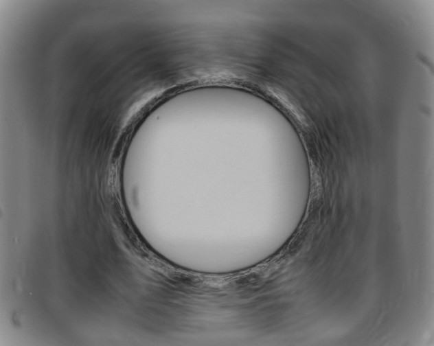 X0000097860583200803140858