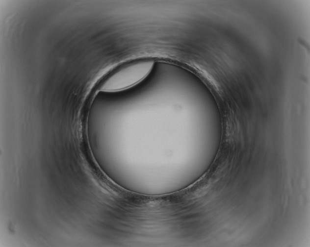 X0000097860584200803140858