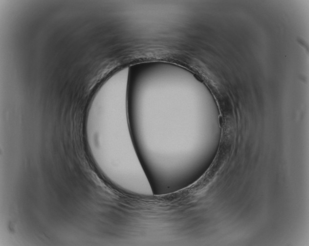 X0000097860585200803140858