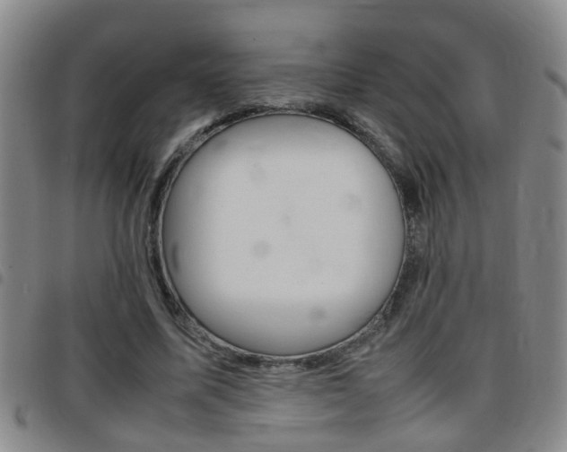 X0000097860587200803140858