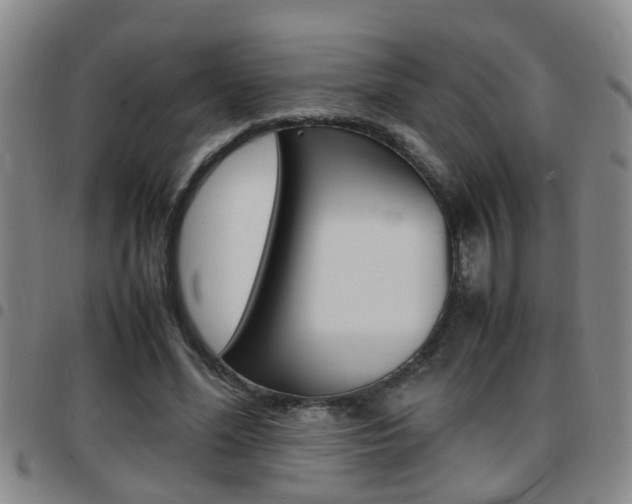 X0000097860588200803140858