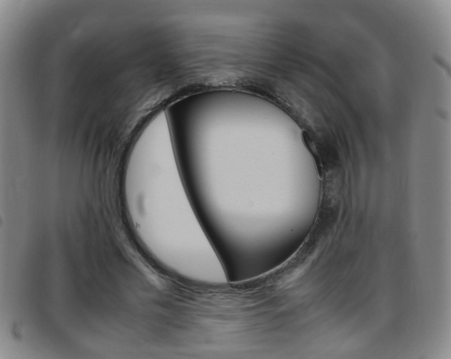 X0000097860589200803140858