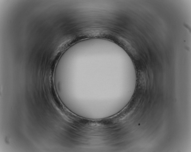 X0000097860590200803140858