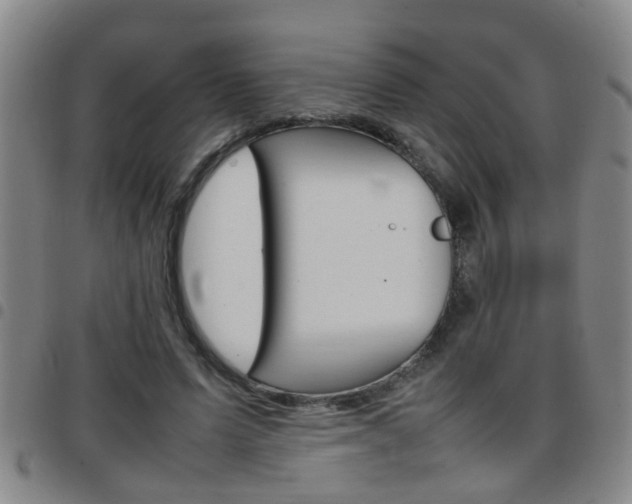 X0000097860591200803140858