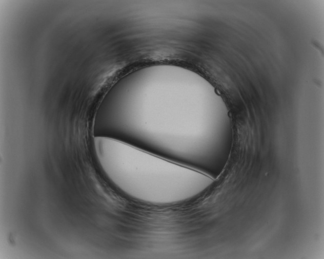 X0000097860592200803140858