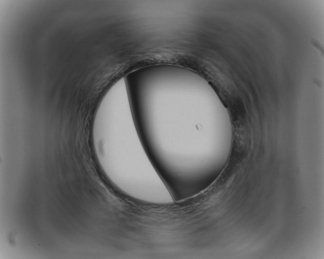 X0000097860593200803140858