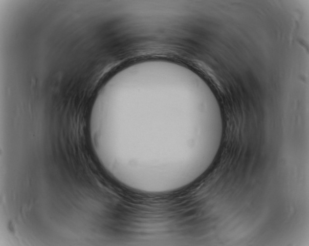X0000097860596200803140858