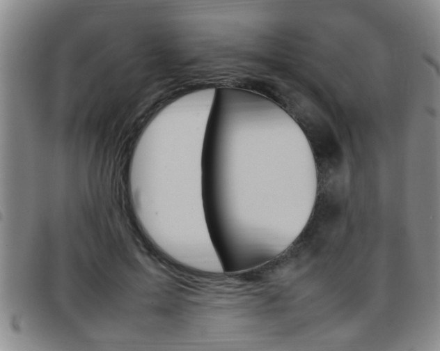 X0000097860599200803140858