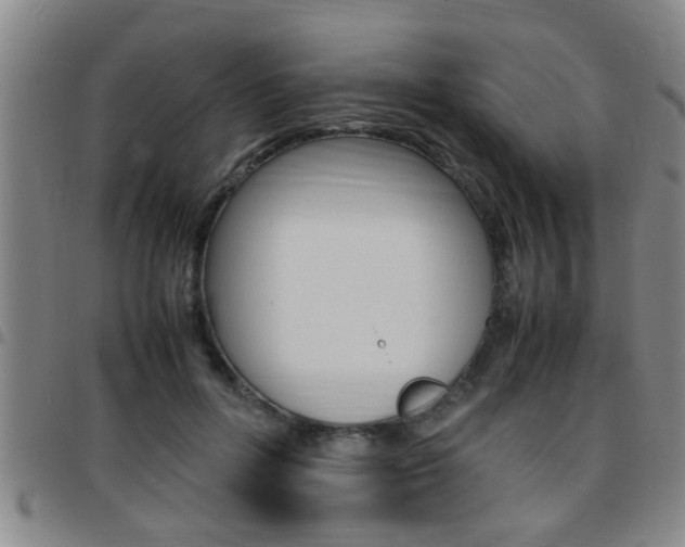X0000097860600200803140858