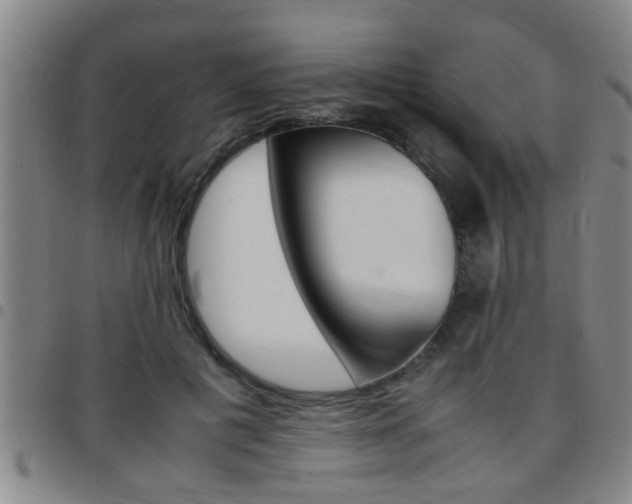 X0000097860601200803140858