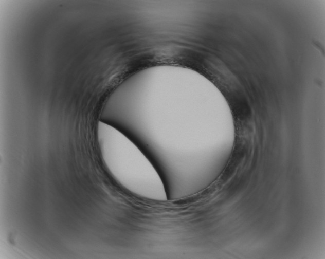 X0000097860603200803140858