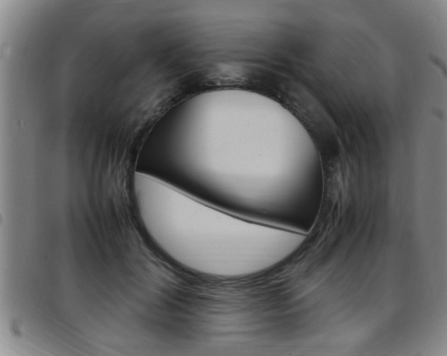 X0000097860604200803140858