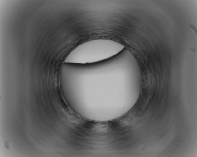 X0000097860606200803140858