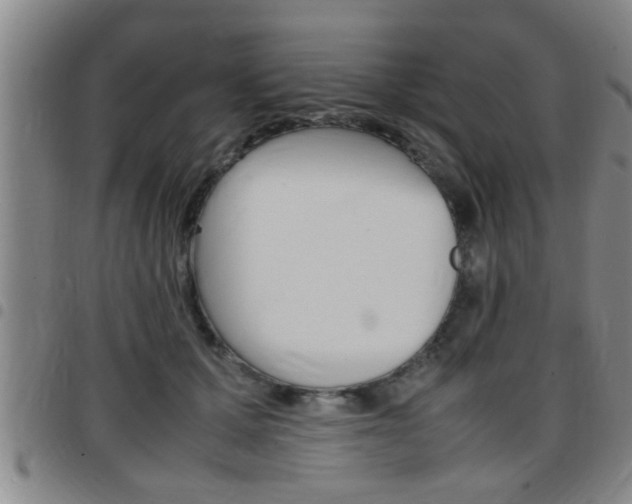 X0000097860607200803140858