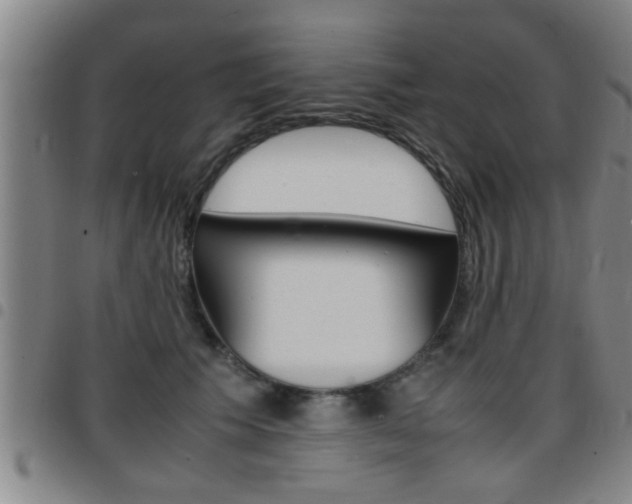 X0000097860609200803140858