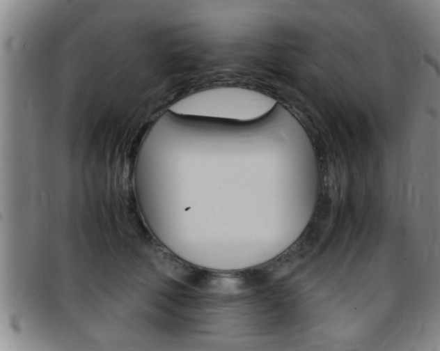 X0000097860610200803140858