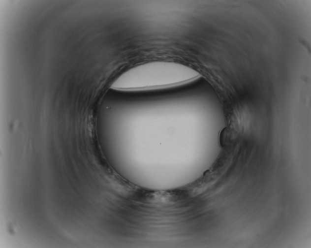 X0000097860612200803140858
