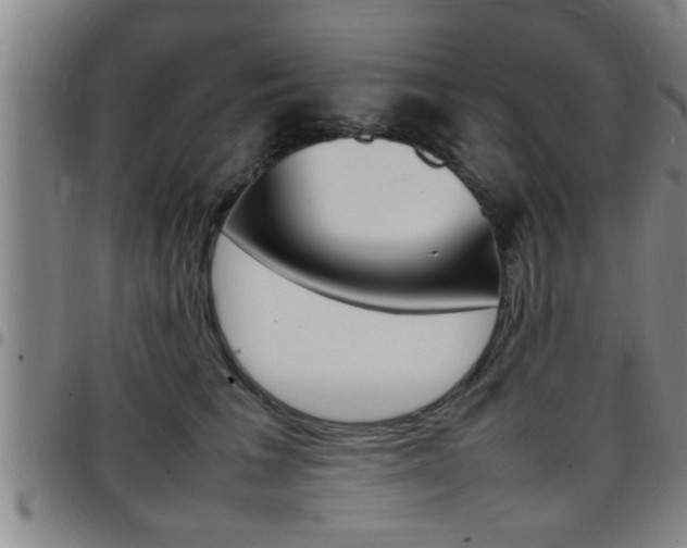 X0000097860613200803140858