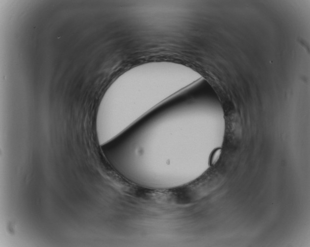 X0000097860615200803140858