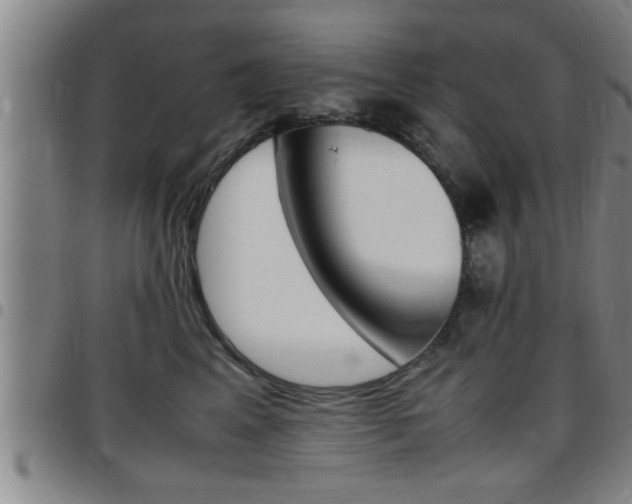 X0000097860617200803140858