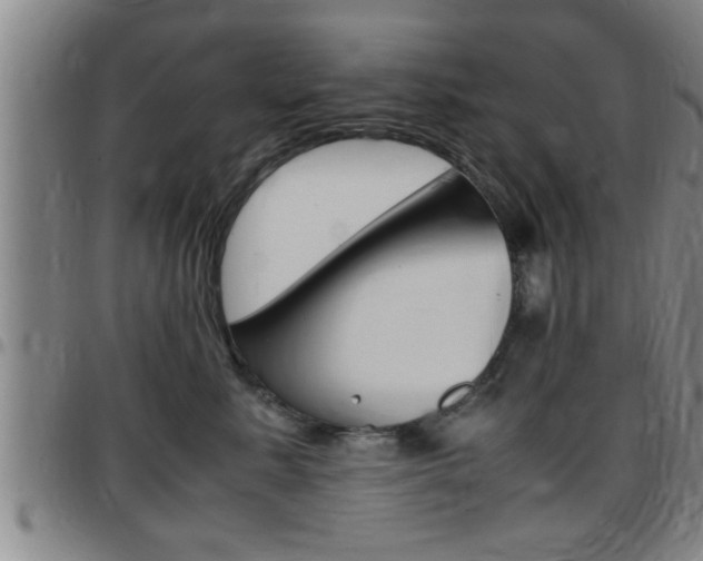 X0000097860619200803140858