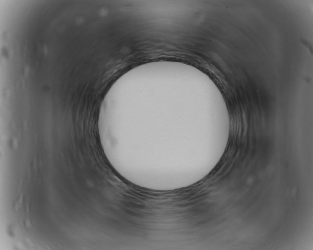 X0000097860621200803140858
