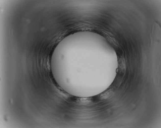 X0000097860622200803140858