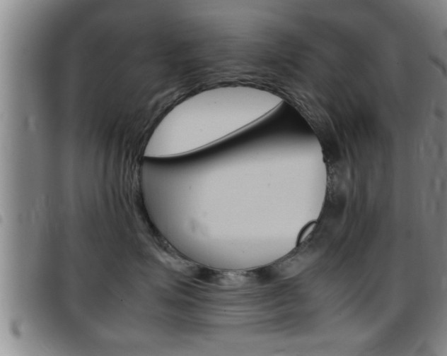 X0000097860623200803140858