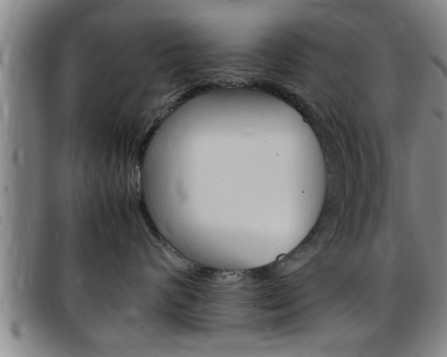 X0000097860624200803140858