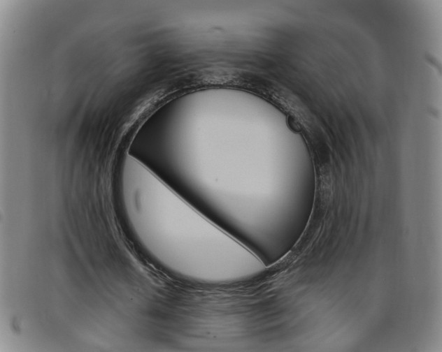 X0000097860626200803140857