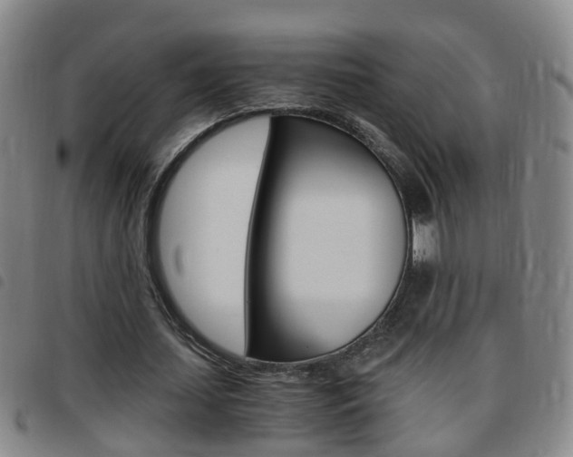 X0000097860627200803140857