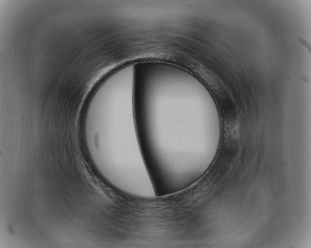 X0000097860628200803140857