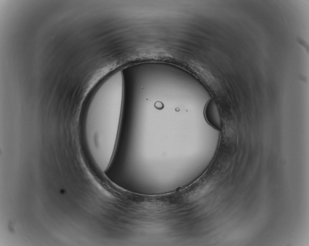 X0000097860630200803140857