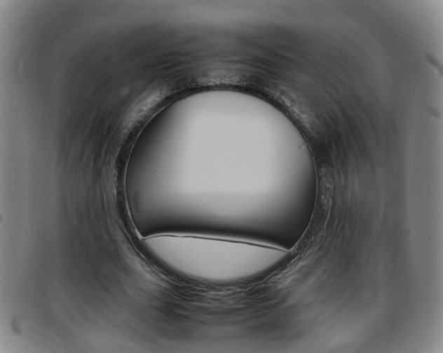 X0000097860631200803140857