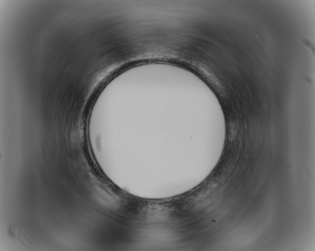 X0000097860632200803140857