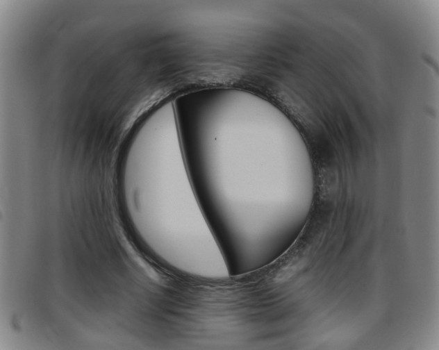 X0000097860634200803140857