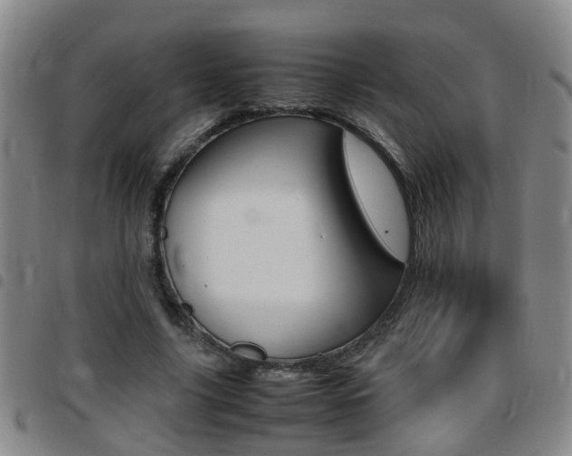 X0000097860635200803140857