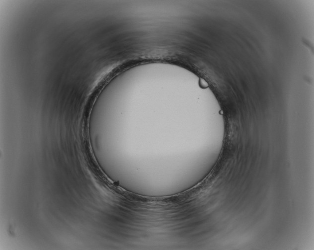 X0000097860636200803140857
