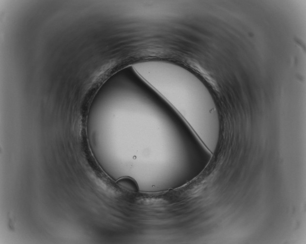 X0000097860637200803140857