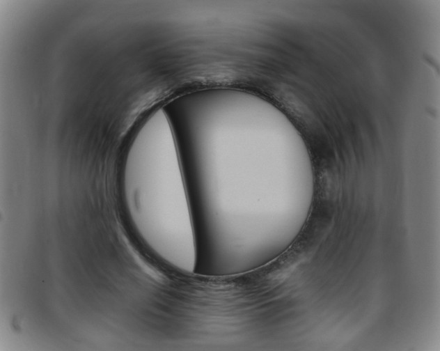 X0000097860638200803140857