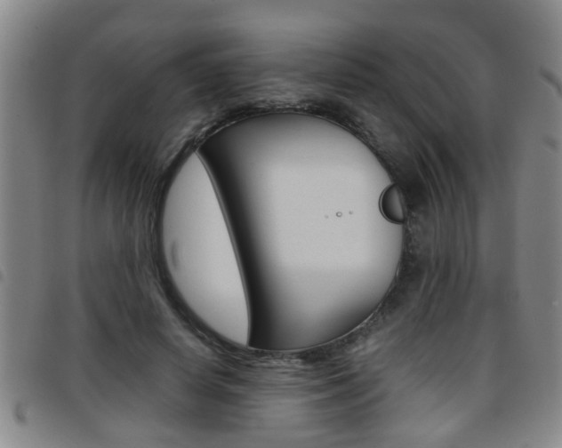 X0000097860642200803140857