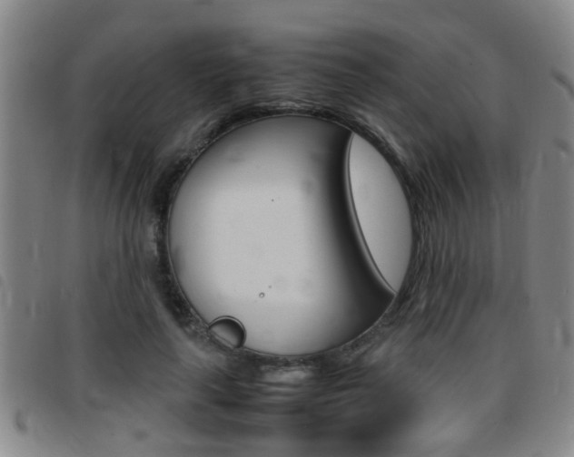 X0000097860643200803140857