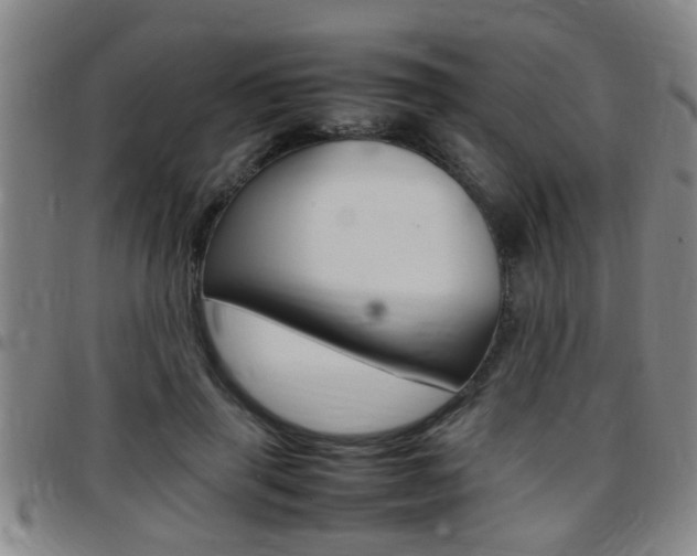 X0000097860645200803140857