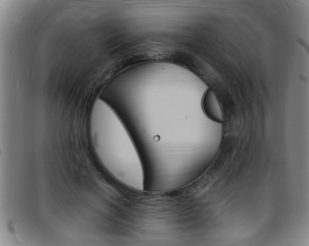 X0000097860646200803140857