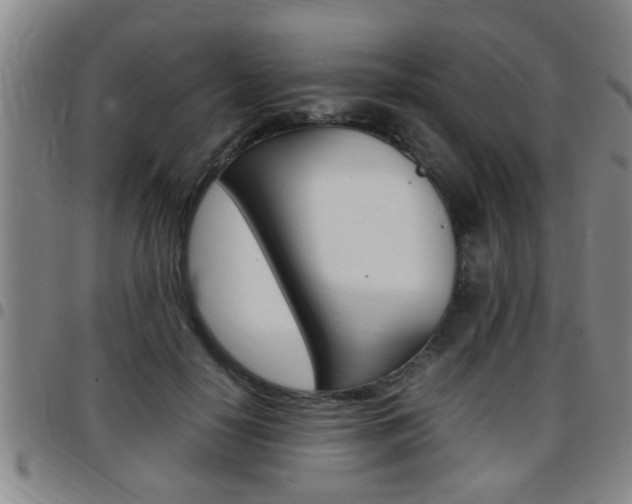 X0000097860650200803140857