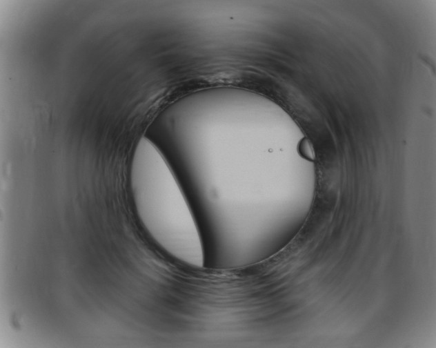 X0000097860652200803140857
